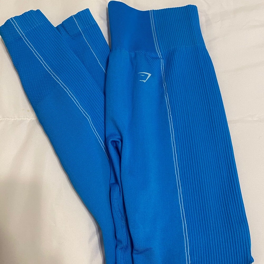 GYM SHARK OUTFIT